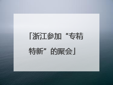 浙江参加“专精特新”的聚会