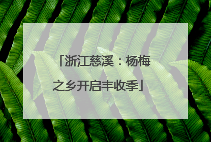 浙江慈溪：杨梅之乡开启丰收季