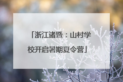 浙江诸暨：山村学校开启暑期夏令营
