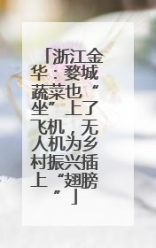 浙江金华：婺城蔬菜也“坐”上了飞机，无人机为乡村振兴插上“翅膀”
