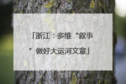 浙江：多维“叙事”做好大运河文章