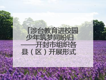 涉台教育进校园 少年筑梦同盼归——开封市组织各县（区）开展形式多样的涉台宣传教育进校园活动
