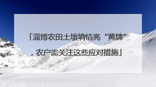 淄博农田土壤墒情亮“黄牌”，农户需关注这些应对措施