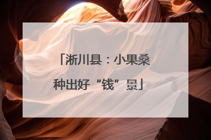 淅川县：小果桑种出好“钱”景