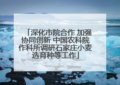 深化市院合作 加强协同创新 中国农科院作科所调研石家庄小麦选育种等工作