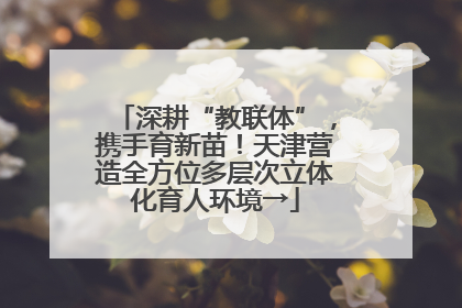 深耕“教联体”，携手育新苗！天津营造全方位多层次立体化育人环境→