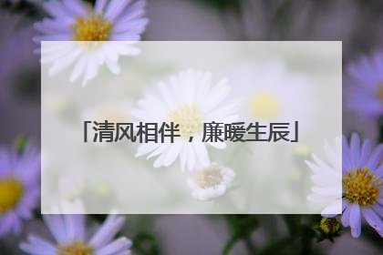 清风相伴，廉暖生辰