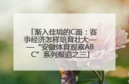 渐入佳境的C面：赛事经济怎样培育壮大——“安徽体育观察ABC”系列报道之三