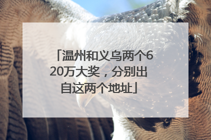 温州和义乌两个620万大奖，分别出自这两个地址
