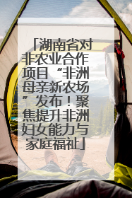 湖南省对非农业合作项目“非洲母亲新农场”发布！聚焦提升非洲妇女能力与家庭福祉