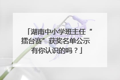 湖南中小学班主任“擂台赛”获奖名单公示 有你认识的吗？