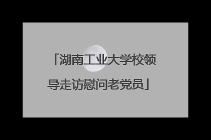 湖南工业大学校领导走访慰问老党员