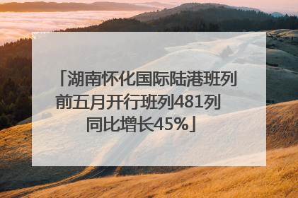 湖南怀化国际陆港班列前五月开行班列481列 同比增长45%