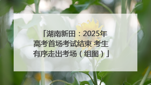 湖南新田：2025年高考首场考试结束 考生有序走出考场（组图）