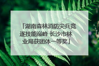 湖南森林消防尖兵竞逐技能巅峰 长沙市林业局获团体一等奖