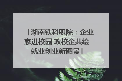 湖南铁科职院：企业家进校园 政校企共绘就业创业新图景