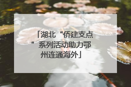 湖北“侨建支点”系列活动助力鄂州连通海外
