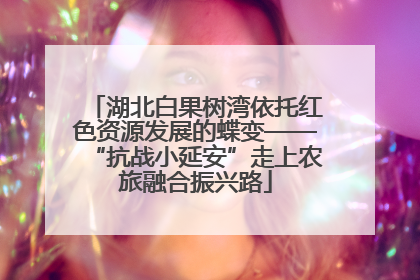 湖北白果树湾依托红色资源发展的蝶变——“抗战小延安”走上农旅融合振兴路
