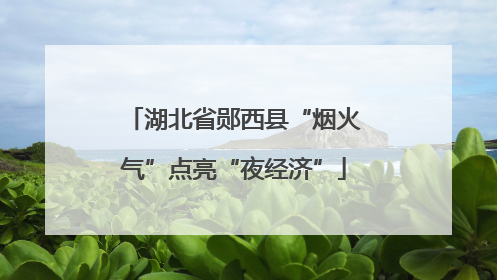 湖北省郧西县“烟火气”点亮“夜经济”