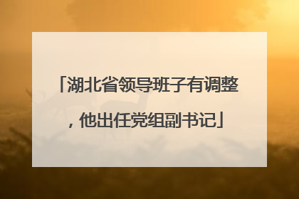 湖北省领导班子有调整，他出任党组副书记