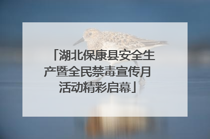 湖北保康县安全生产暨全民禁毒宣传月活动精彩启幕