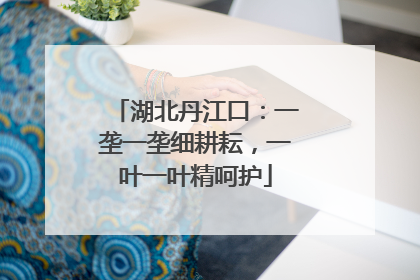 湖北丹江口：一垄一垄细耕耘，一叶一叶精呵护