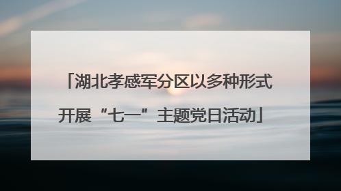 湖北孝感军分区以多种形式开展“七一”主题党日活动