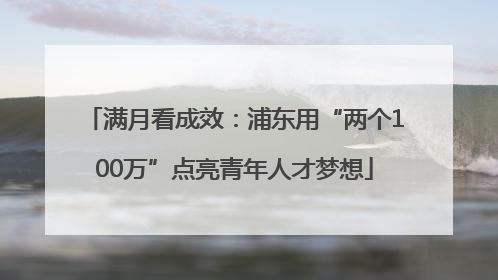 满月看成效：浦东用“两个100万”点亮青年人才梦想