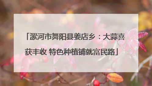 漯河市舞阳县姜店乡：大蒜喜获丰收 特色种植铺就富民路