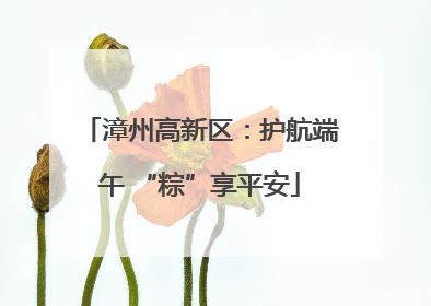 漳州高新区：护航端午 “粽”享平安