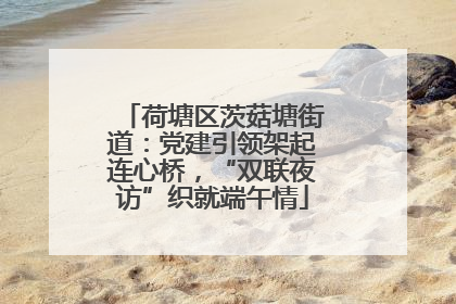 荷塘区茨菇塘街道：党建引领架起连心桥，“双联夜访”织就端午情