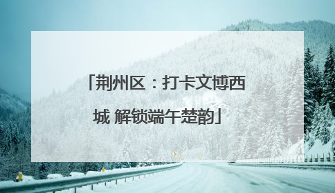 荆州区：打卡文博西城 解锁端午楚韵