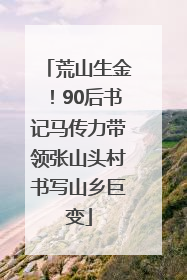 荒山生金！90后书记马传力带领张山头村书写山乡巨变