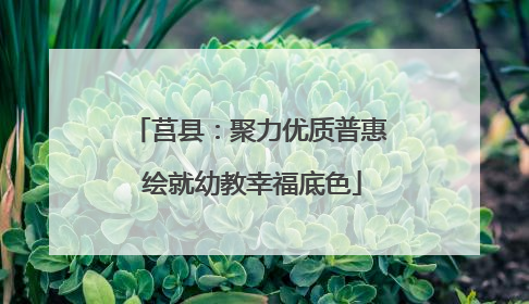 莒县：聚力优质普惠 绘就幼教幸福底色