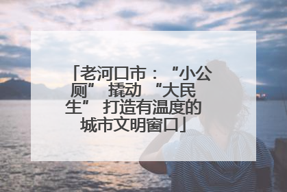 老河口市：“小公厕” 撬动 “大民生” 打造有温度的城市文明窗口