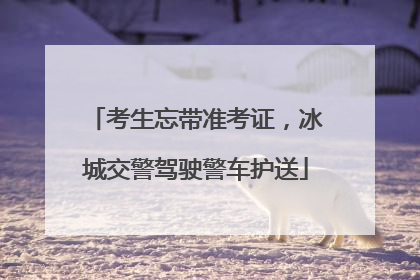 考生忘带准考证，冰城交警驾驶警车护送