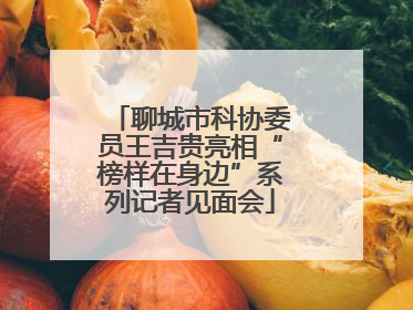 聊城市科协委员王吉贵亮相“榜样在身边”系列记者见面会