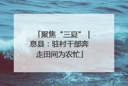 聚焦“三夏”｜息县：驻村干部奔走田间为农忙