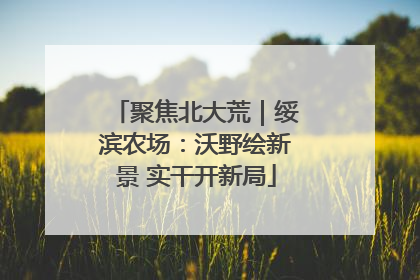 聚焦北大荒｜绥滨农场：沃野绘新景 实干开新局