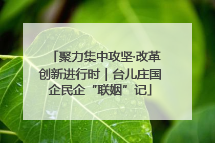 聚力集中攻坚·改革创新进行时｜台儿庄国企民企“联姻”记