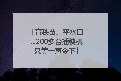 育秧苗、平水田……200多台插秧机只等一声令下