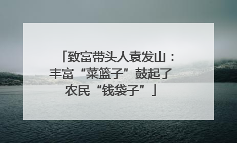 致富带头人袁发山：丰富“菜篮子”鼓起了农民“钱袋子”