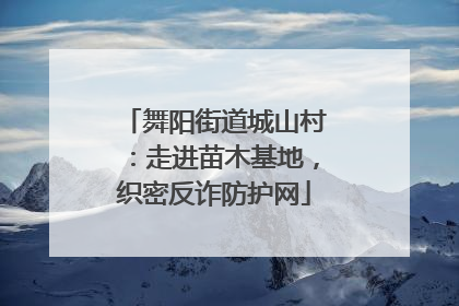 舞阳街道城山村：走进苗木基地，织密反诈防护网