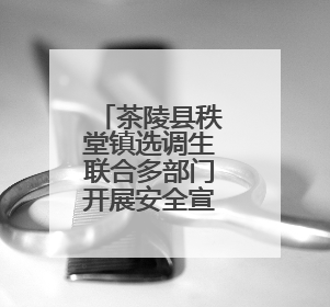 茶陵县秩堂镇选调生联合多部门开展安全宣讲进校园活动