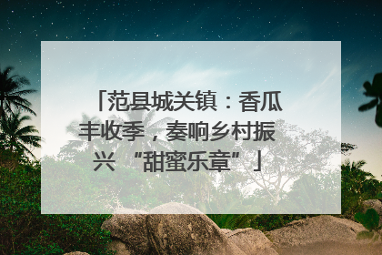 范县城关镇：香瓜丰收季，奏响乡村振兴 “甜蜜乐章”