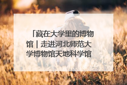 藏在大学里的博物馆｜走进河北师范大学博物馆天地科学馆：在校园里赴一场“宇宙之约”