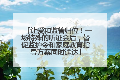 让爱和监管归位！一场特殊的听证会后，督促监护令和家庭教育指导方案同时送达