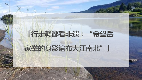 行走赣鄱看非遗：“希望岳家拳的身影遍布大江南北”