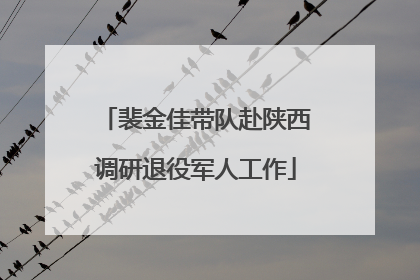 裴金佳带队赴陕西调研退役军人工作