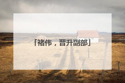 褚伟，晋升副部